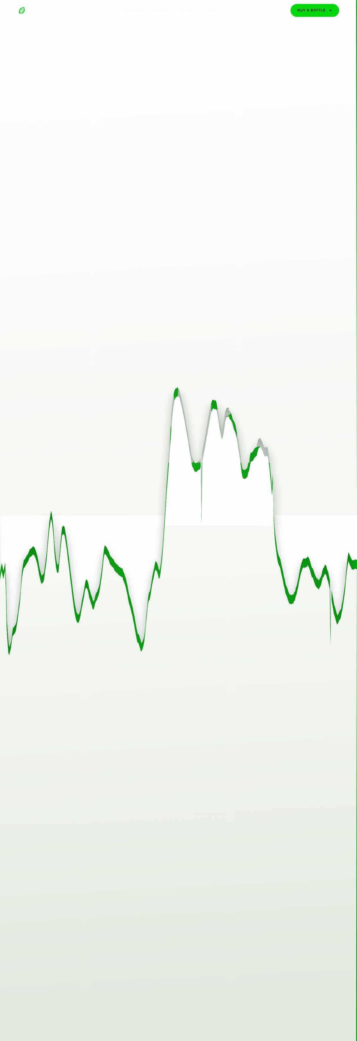The Greenbach demo site running on a desktop